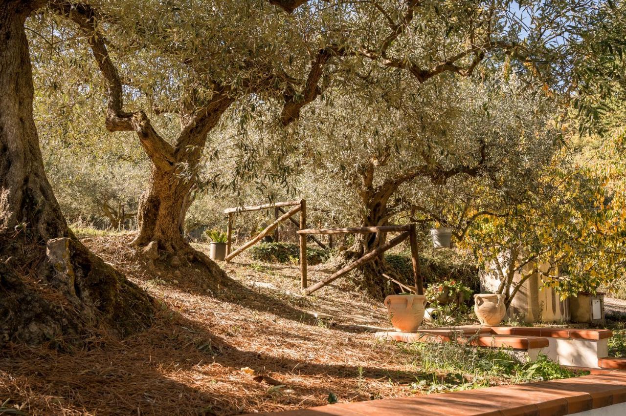 Valateddi Villa Cammarata Exterior photo